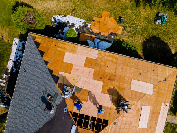 Best Best Roofing Contractors  in West Livingston, TX