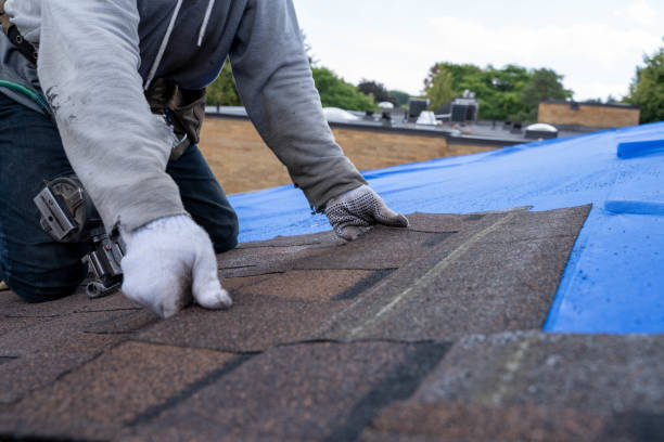 Best Residential Roofing Contractor  in West Livingston, TX
