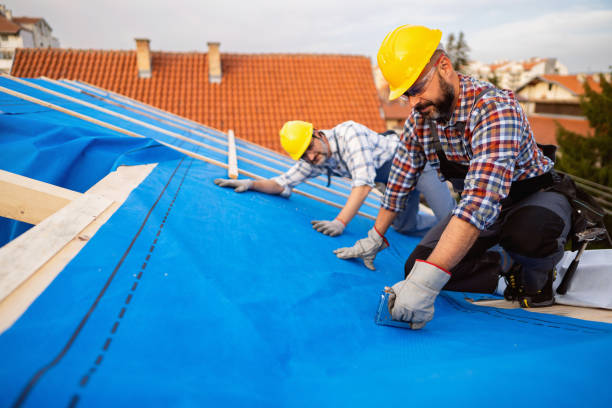 Professional Roofing Contractor in West Livingston, TX