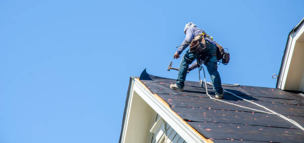Best Best Roofing Contractors  in West Livingston, TX